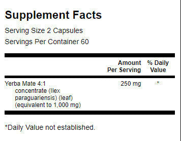 Yerba Mate (4:1) 125 mg - 120 capsules - Nutra Best Europe