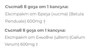 Birch Extract + Birch - 2 x 60 capsules - Nutra Best Europe