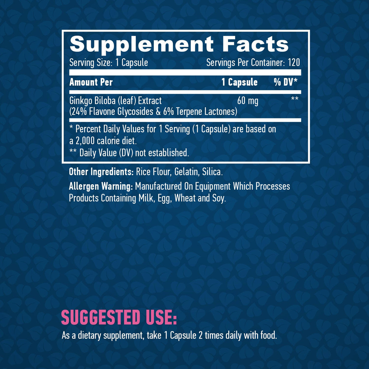 Ginkgo Biloba 60mg. / 120 caps. - Nutra Best Europe