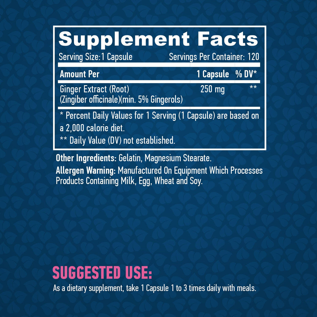 Ginger 250mg. / 120 Vcaps. - Nutra Best Europe