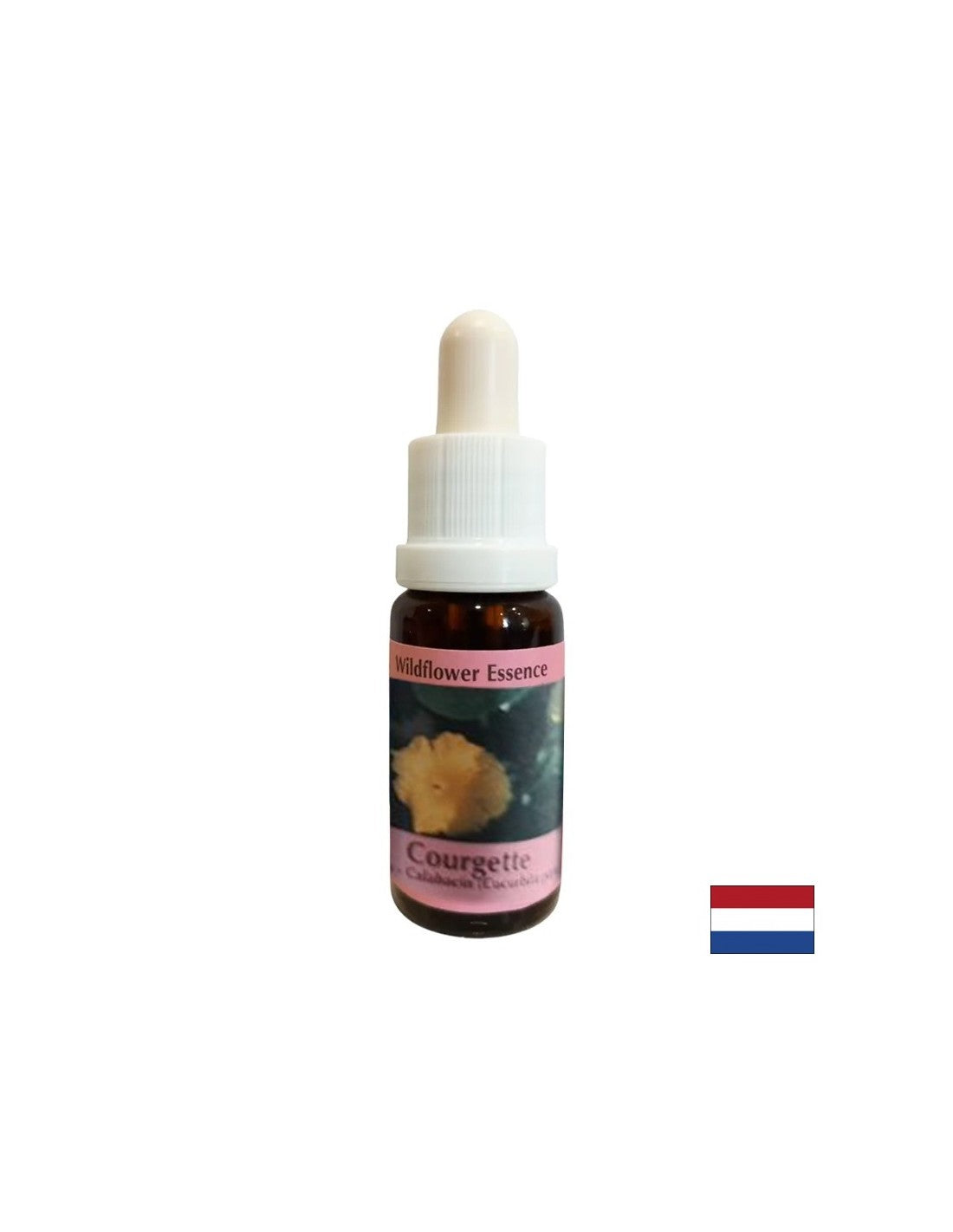 Támogatja a menstruációt, a terhességet és a szexualitást - Pumpkin Essence No. 29, cseppek 15 ml