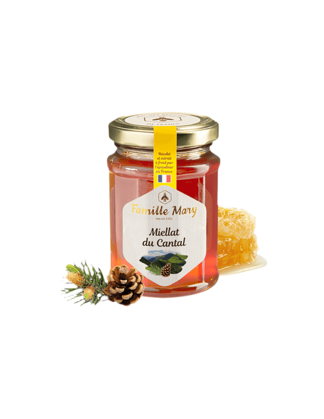 Miellat du Cantal / Bee honey (Honeydew) from pine needles, 230 g Famille Mary - Nutra Best Europe