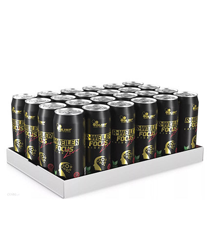 R-Weiler Focus Drink Zero / 24 x 330 ml - Nutra Best Europe