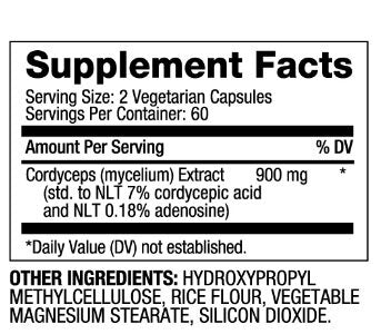 Cordyceps 450 mg / 60 Caps - Nutra Best Europe