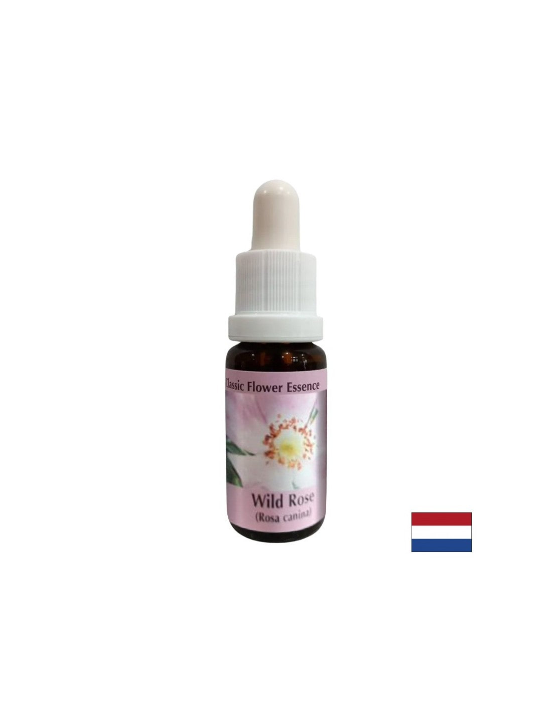 Növeli az aktivitást és a motivációt - Csipkebogyó Essence No. 37, cseppek 15 ml
