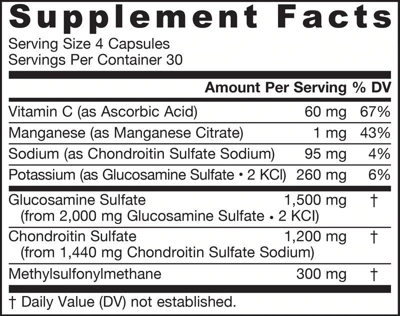 Glucosamine Chondroitin MSM - Glucosamine Chondroitin MSM 120 capsules - Nutra Best Europe