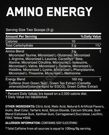 Amino Energy TRIAL SIZE - 10 serv. / 90 gr. - Nutra Best Europe