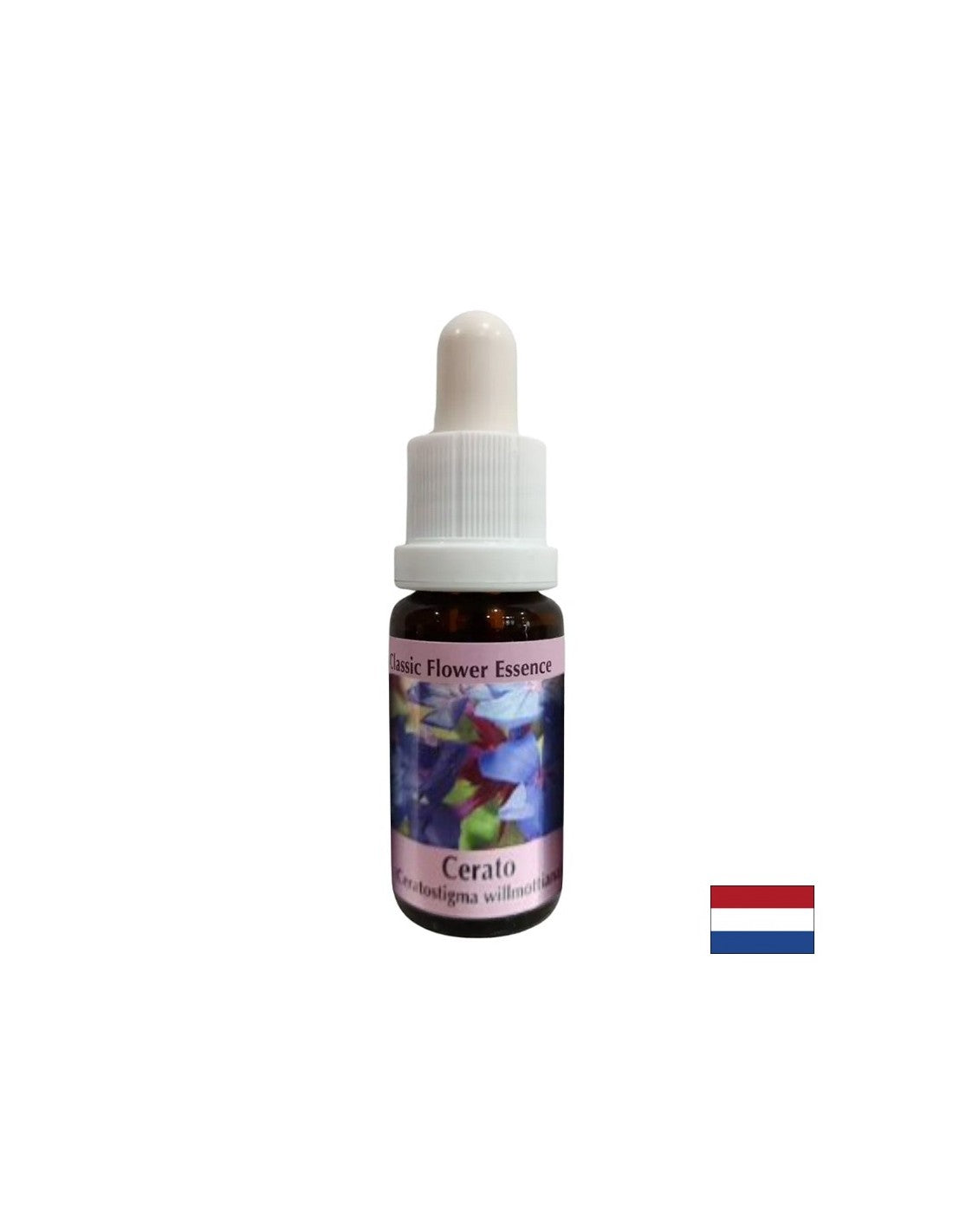 Serkenti az intuíciót és a döntéshozatalt - Essence Ceratosigma (Wax) No. 5, cseppek 15 ml