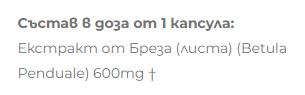 Nyírfa kivonat 600 mg - 60 kapszula