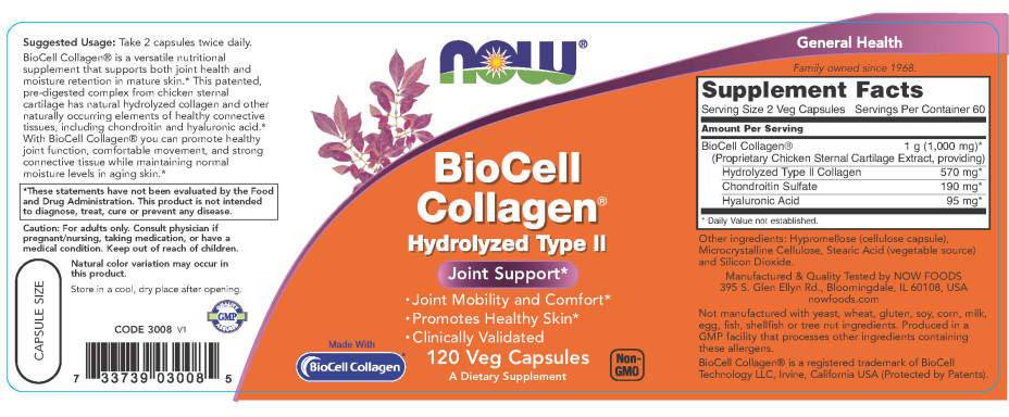 BioCell Collagen / Hydrolyzed Type II - 120 capsules - Nutra Best Europe