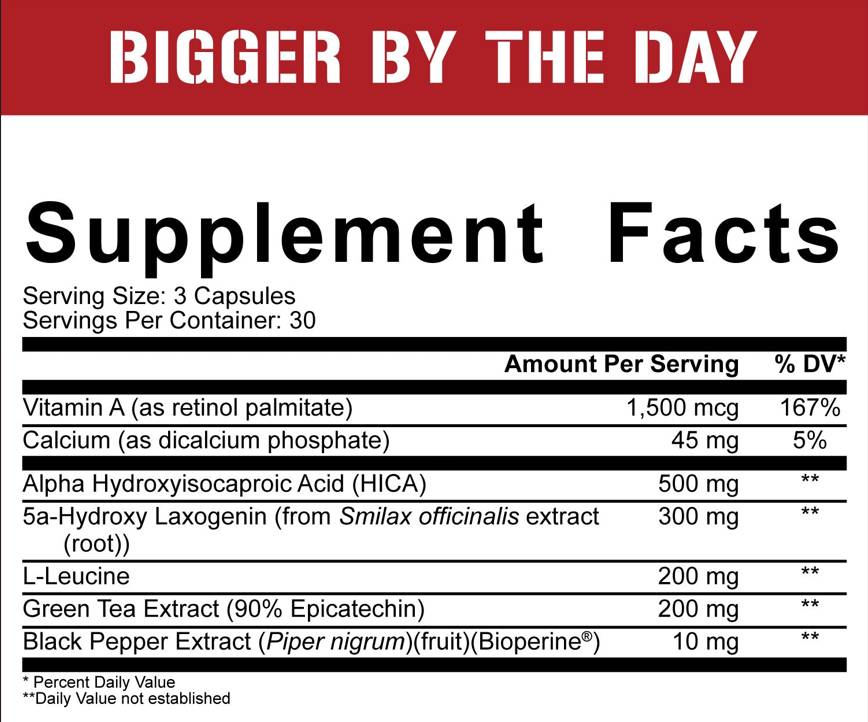 Bigger By The Day 90 capsules - Nutra Best Europe