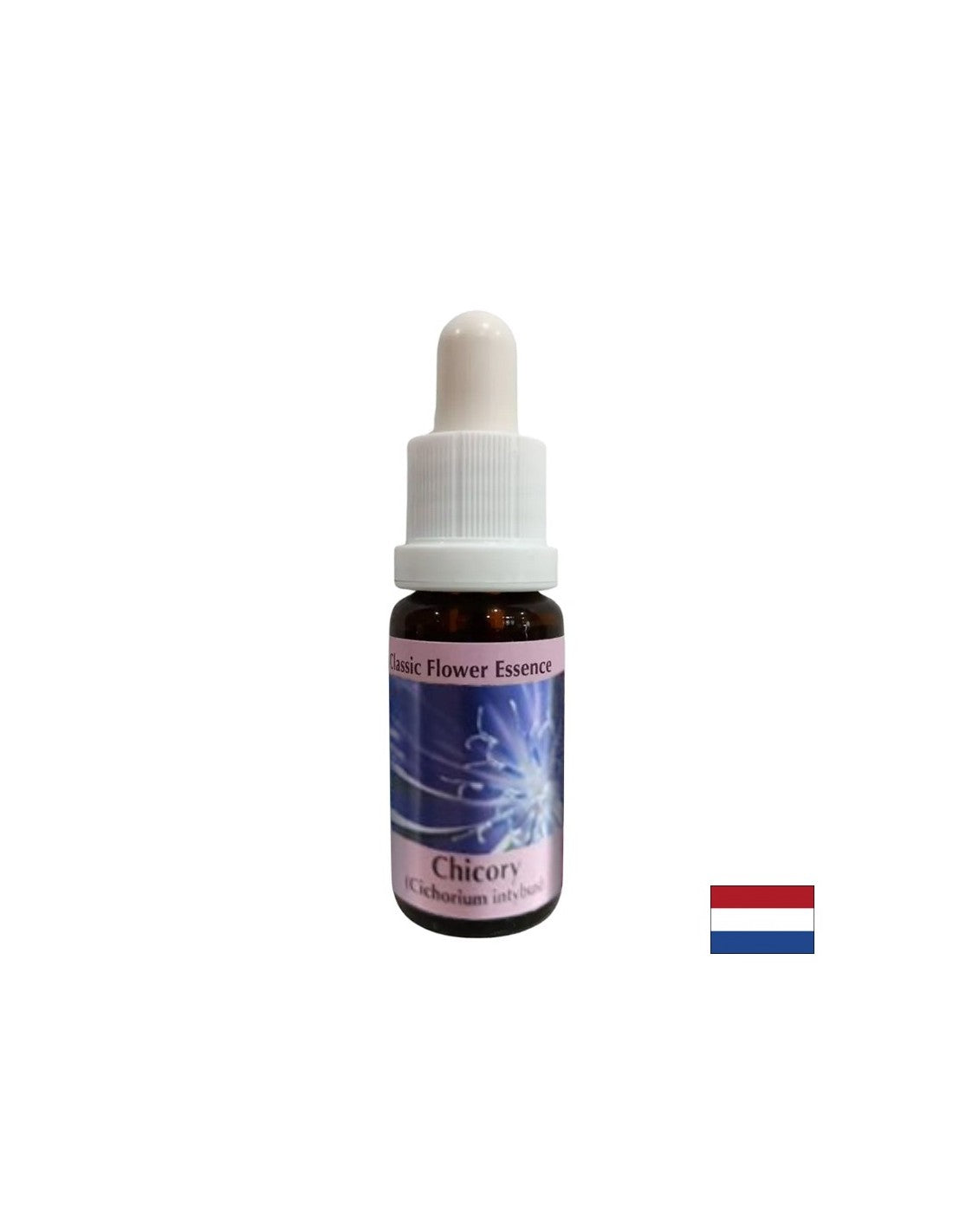 Hogy magadra koncentrálj - Cikória Essence No. 8, cseppek 15 ml