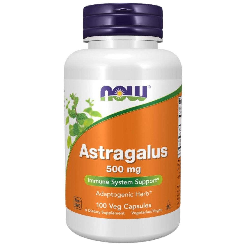 Astragalus 500 mg - 100 kapszula