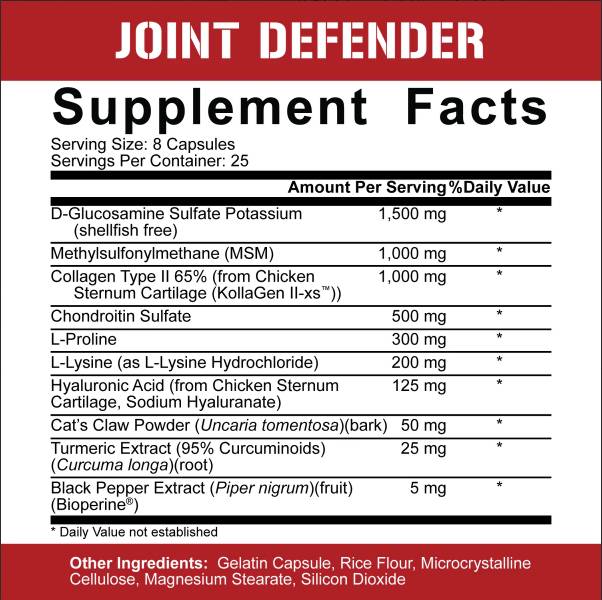 Joint Defender | Maximum Joint Support - 200 capsules - Nutra Best Europe