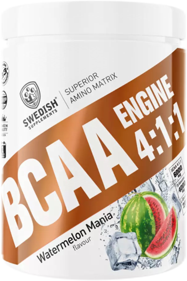 BCAA motor 4:1:1 - 400 gramm