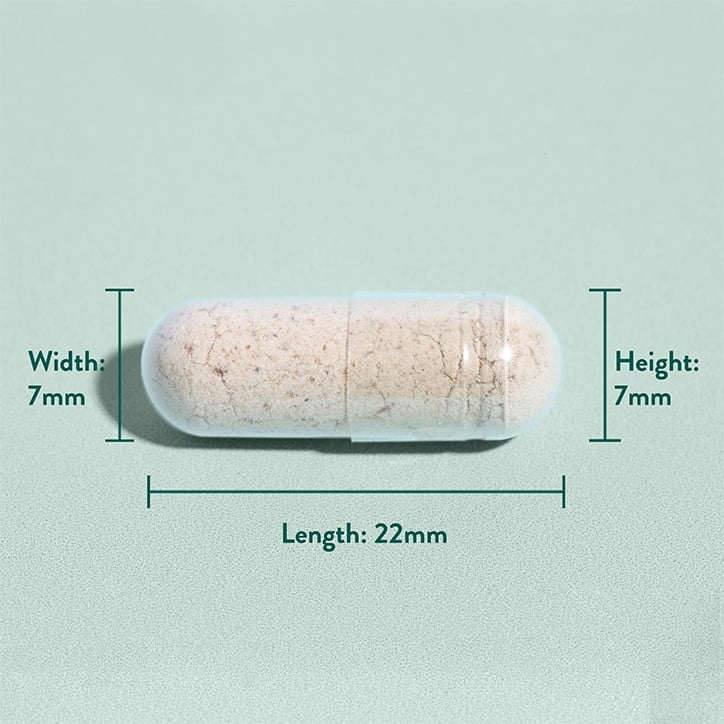 Útifűmaghéj rost (Úfűmaghéj) 500 mg 180 kapszula HOLLAND & BARRETT