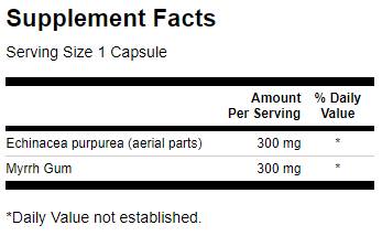 Full Spectrum Echinacea and Myrrh Gum 60 capsules - Nutra Best Europe