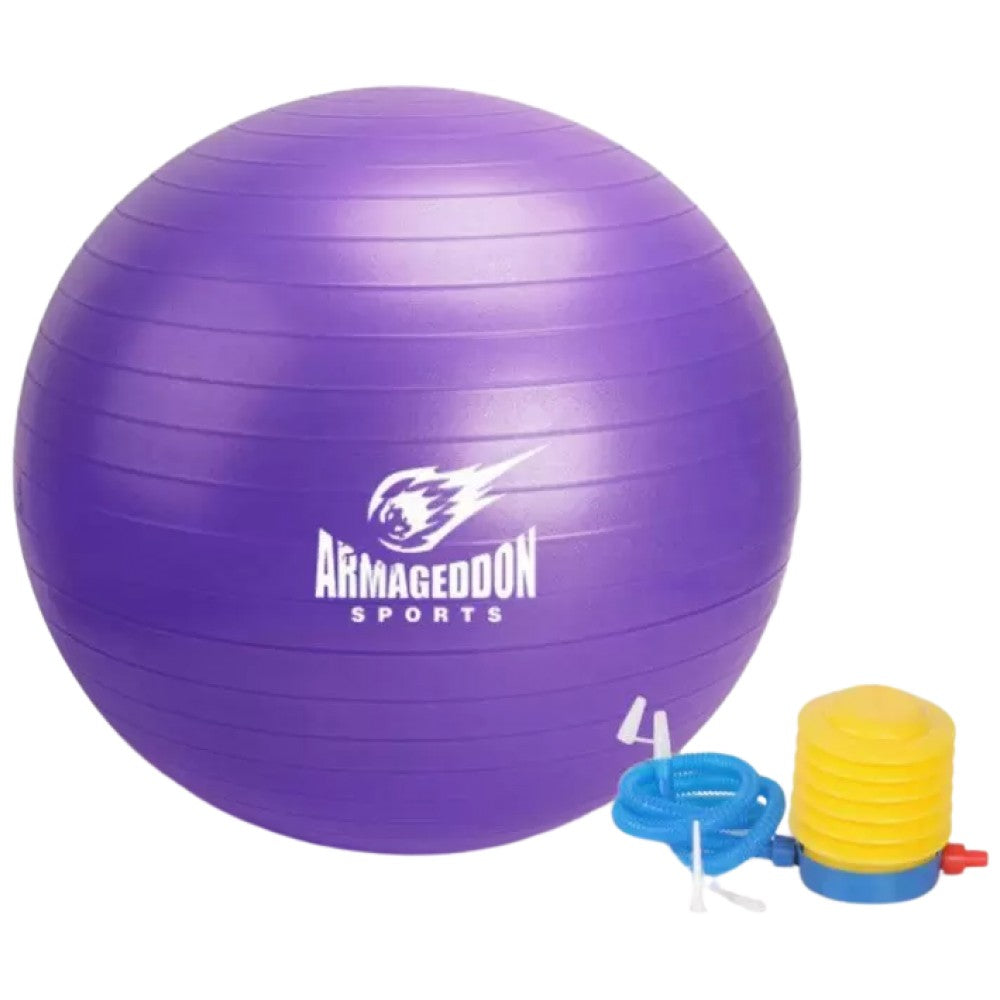 Gimnastic Ball With a Pump 85 cm/Gymnastic Ball with a Pump 85 cm