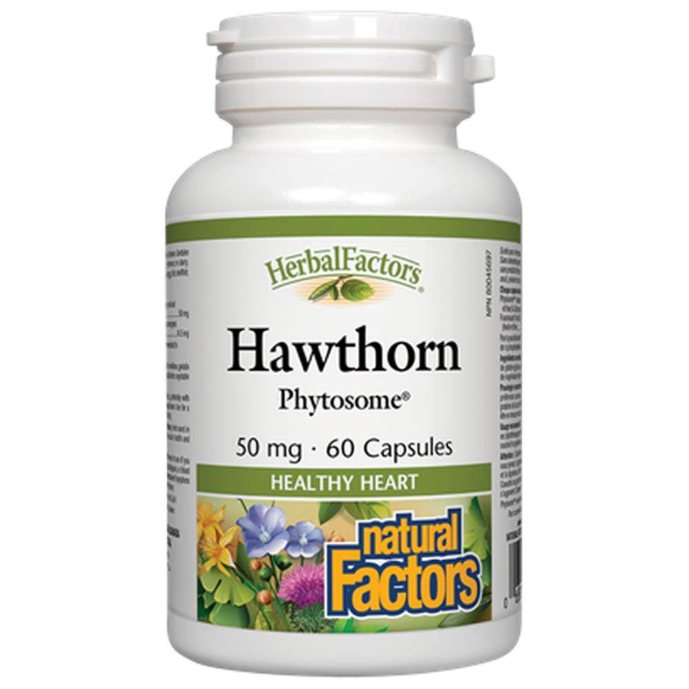 Hawthorn Phytosome 50 mg 60 kapszula