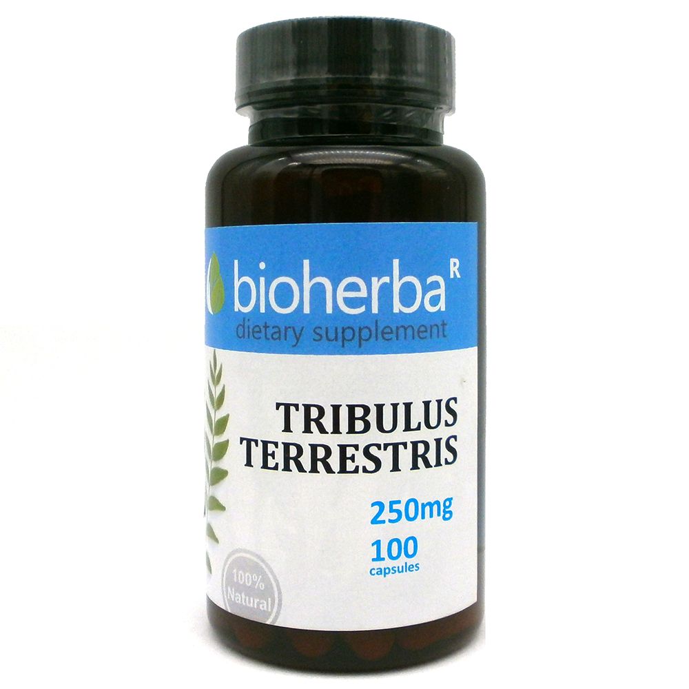 Tribulus Terrestris 250 mg - 100 capsules - Nutra Best Europe