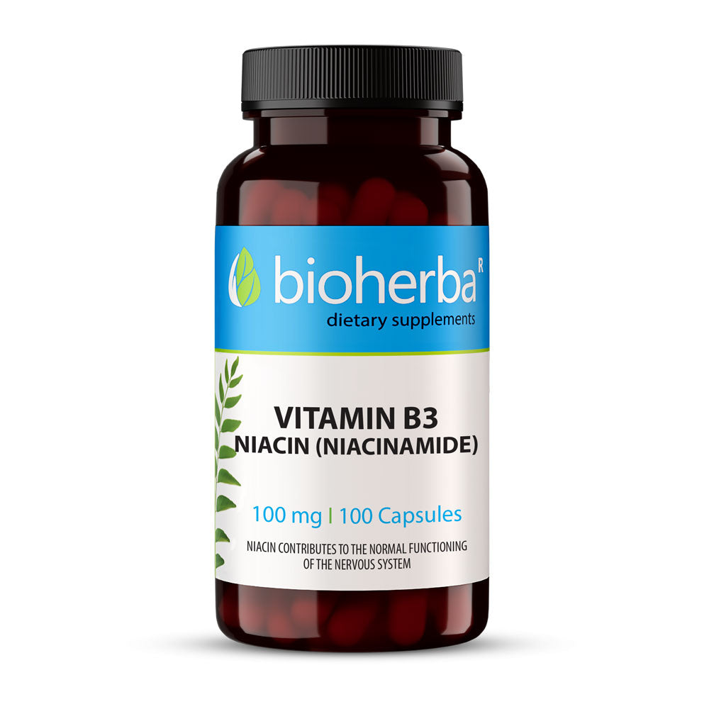 Vitamin B3 | Niacin 100 mg - 100 capsules - Nutra Best Europe