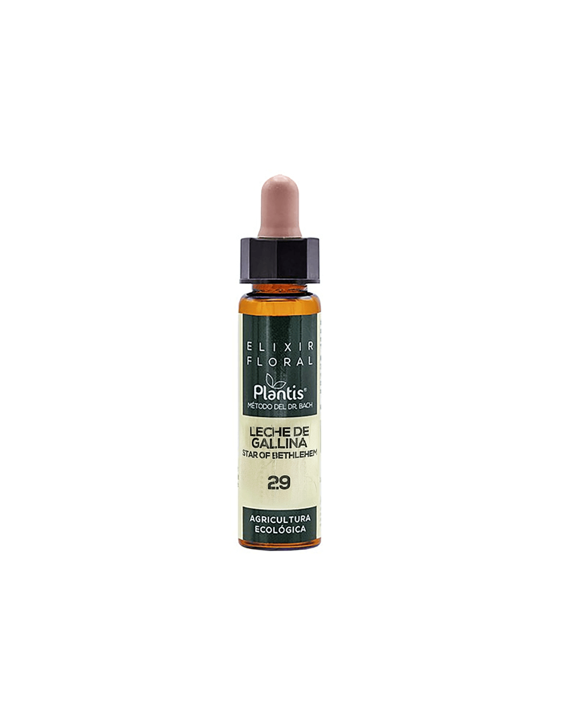 Leche de gallina (Betlehemi csillag) Virágelixír 29 - Betlehemi csillag virágelixír, 10 ml Arte<tc>san</tc>ia