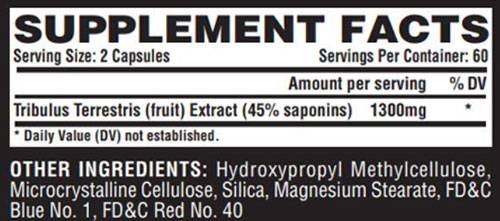 Tribulus Black 1300 - 120 capsules - Nutra Best Europe