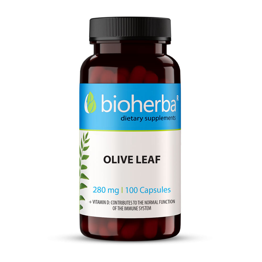 Olívalevél 280 mg - 100 kapszula