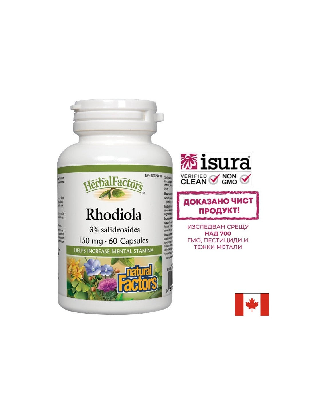 Rhodiola 150 mg - 60 kapszula