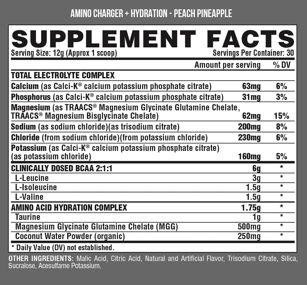 Amino Charger + Hydration 399 grams - Nutra Best Europe