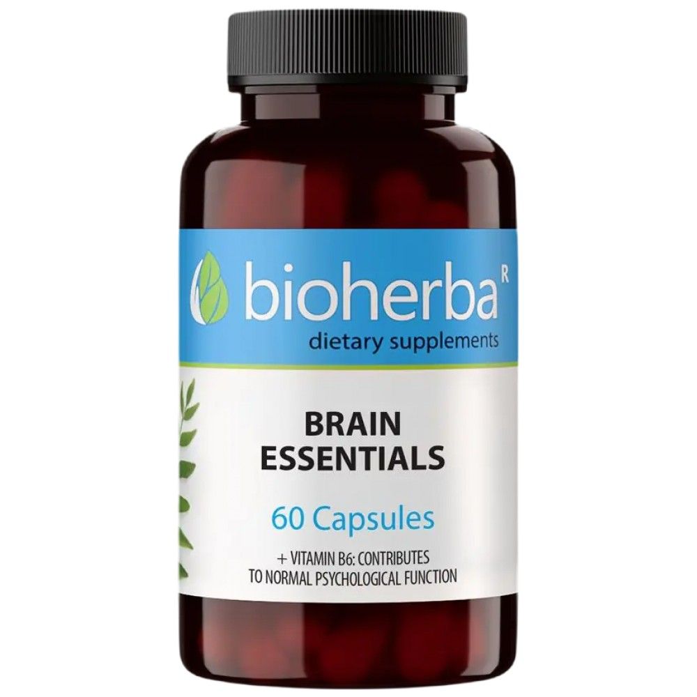 Brain Elevate - 60 capsules - Nutra Best Europe