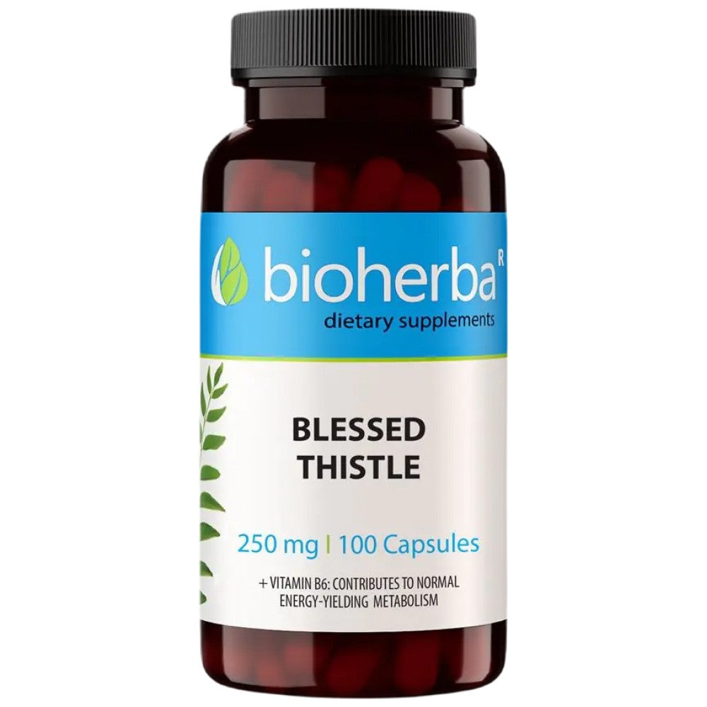 Blessed Thistle 250 mg - 100 capsules - Nutra Best Europe