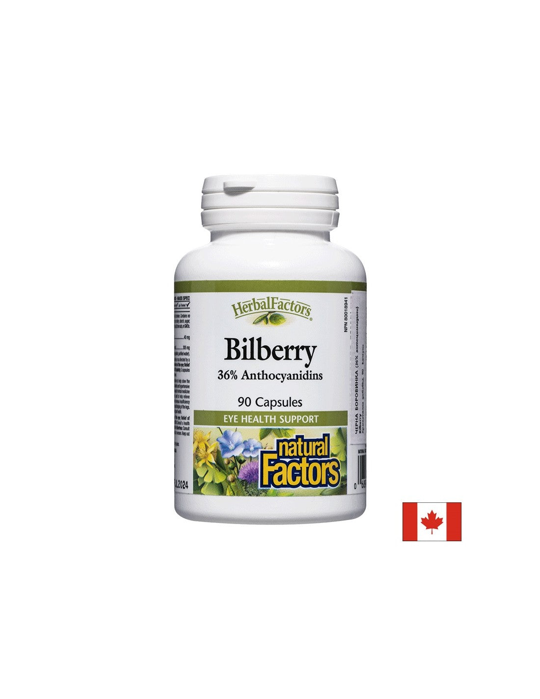 Bilberry 345 mg - 90 capsules - Nutra Best Europe