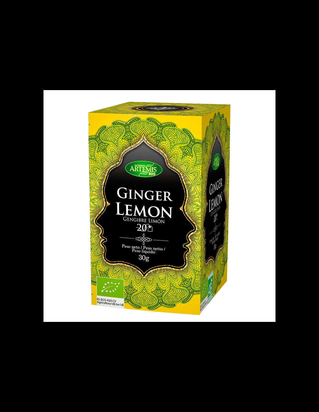 Tea with ginger and lemon BIO, 20 filter bags - Nutra Best Europe