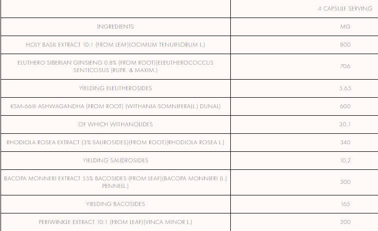 AM Priming Stack | Adaptogen Formula 120 capsules - Nutra Best Europe