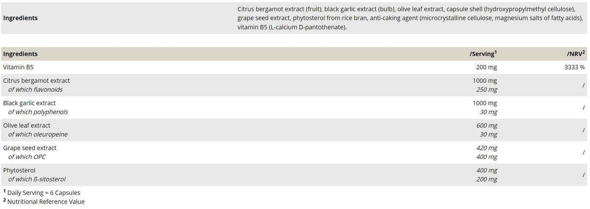 Cholest Support - 90 capsules - Nutra Best Europe