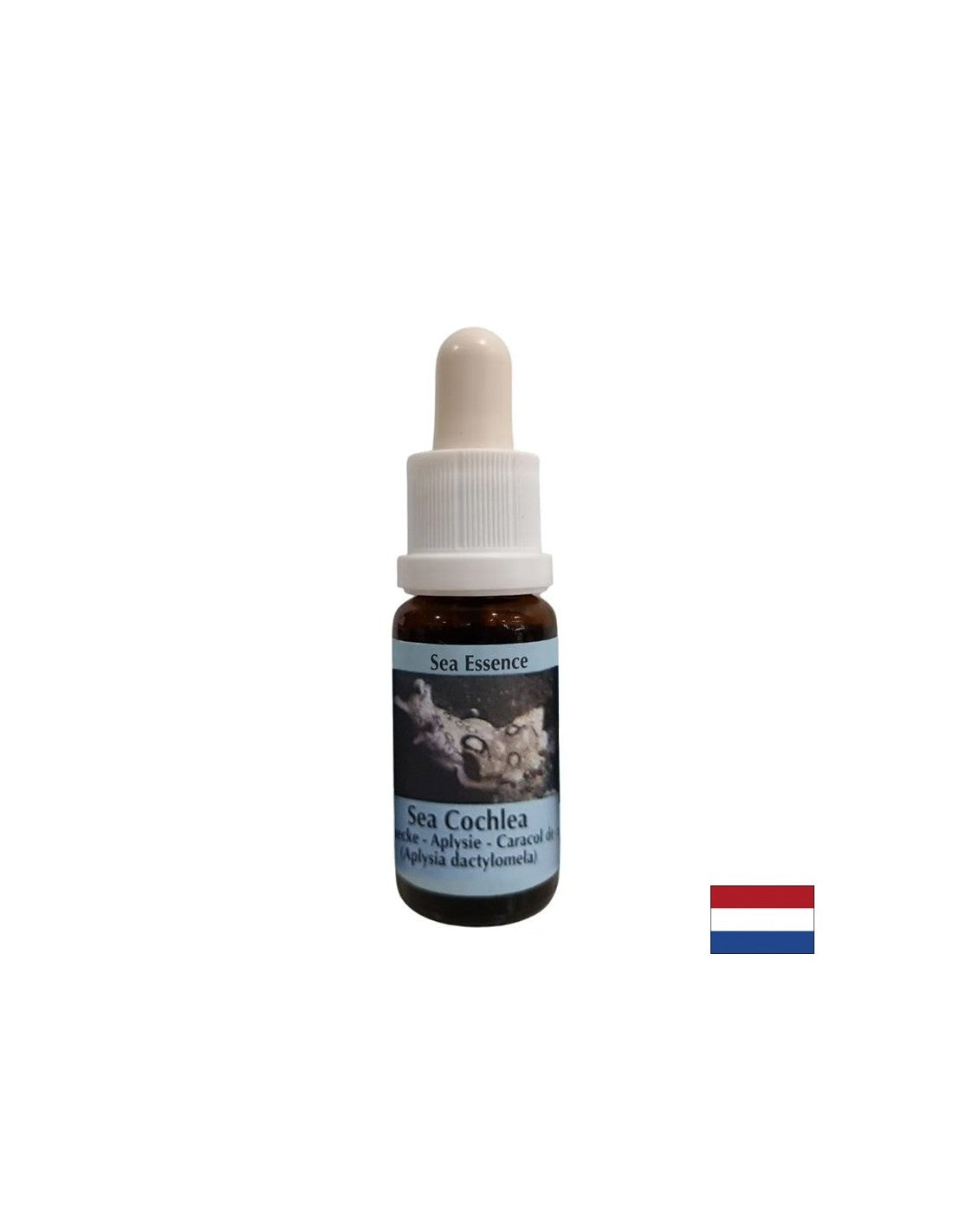 Gives inner strength in unstable situations - Sea Snail Essence No. 8, drops 15 ml - Nutra Best Europe
