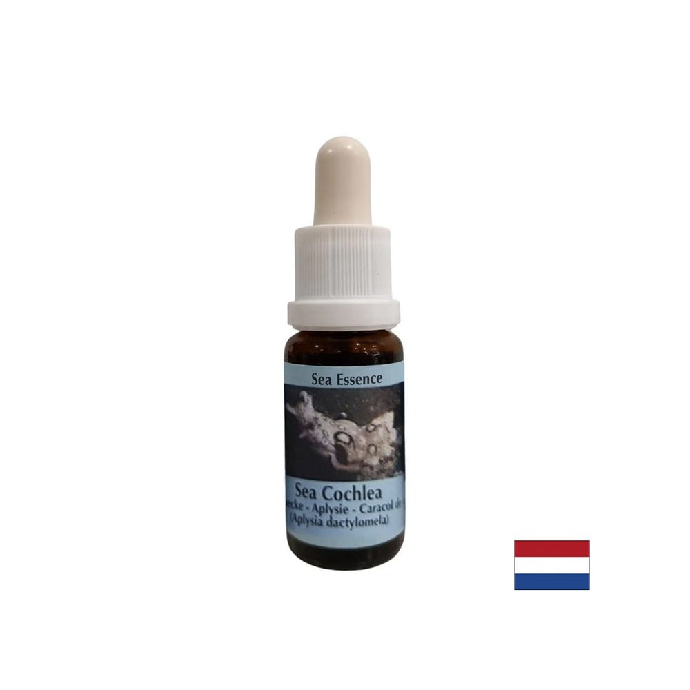 Gives inner strength in unstable situations - Sea Snail Essence No. 8, drops 15 ml - Nutra Best Europe