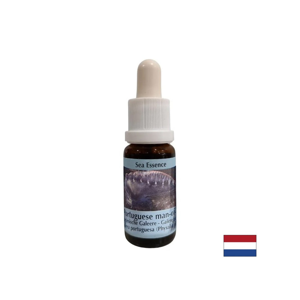Detoxification - Essence Physalia (Portuguese galley) No. 4, drops 15 ml - Nutra Best Europe