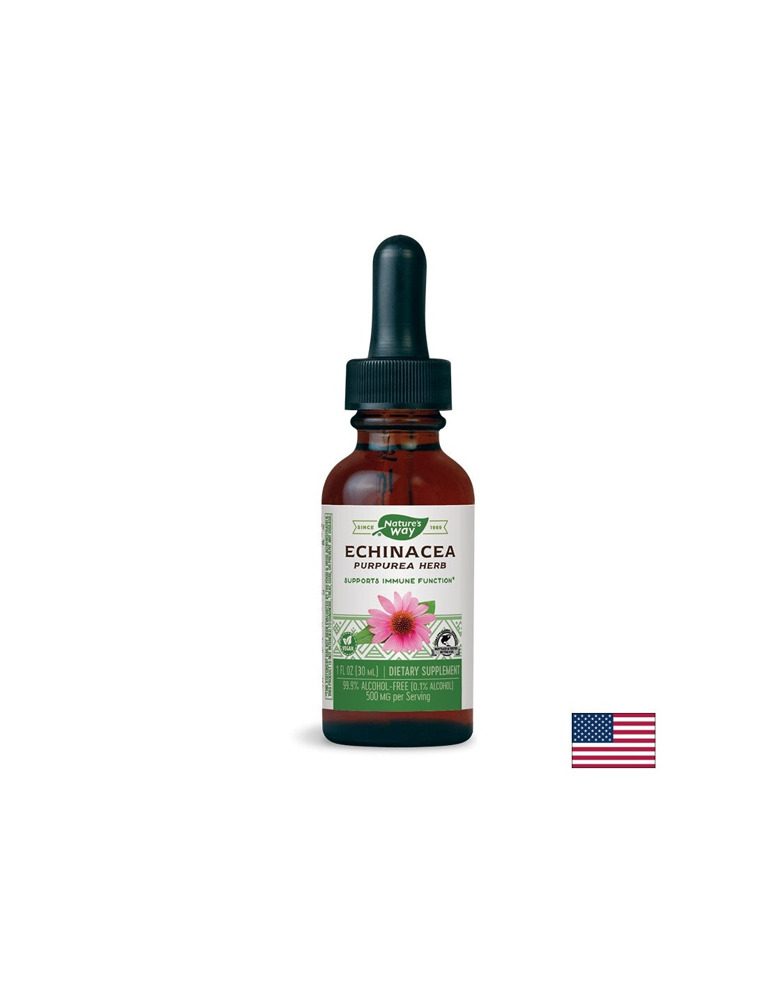 Echinacea - tincture - Immunity and respiratory system, 30 ml (without alcohol) - Nutra Best Europe