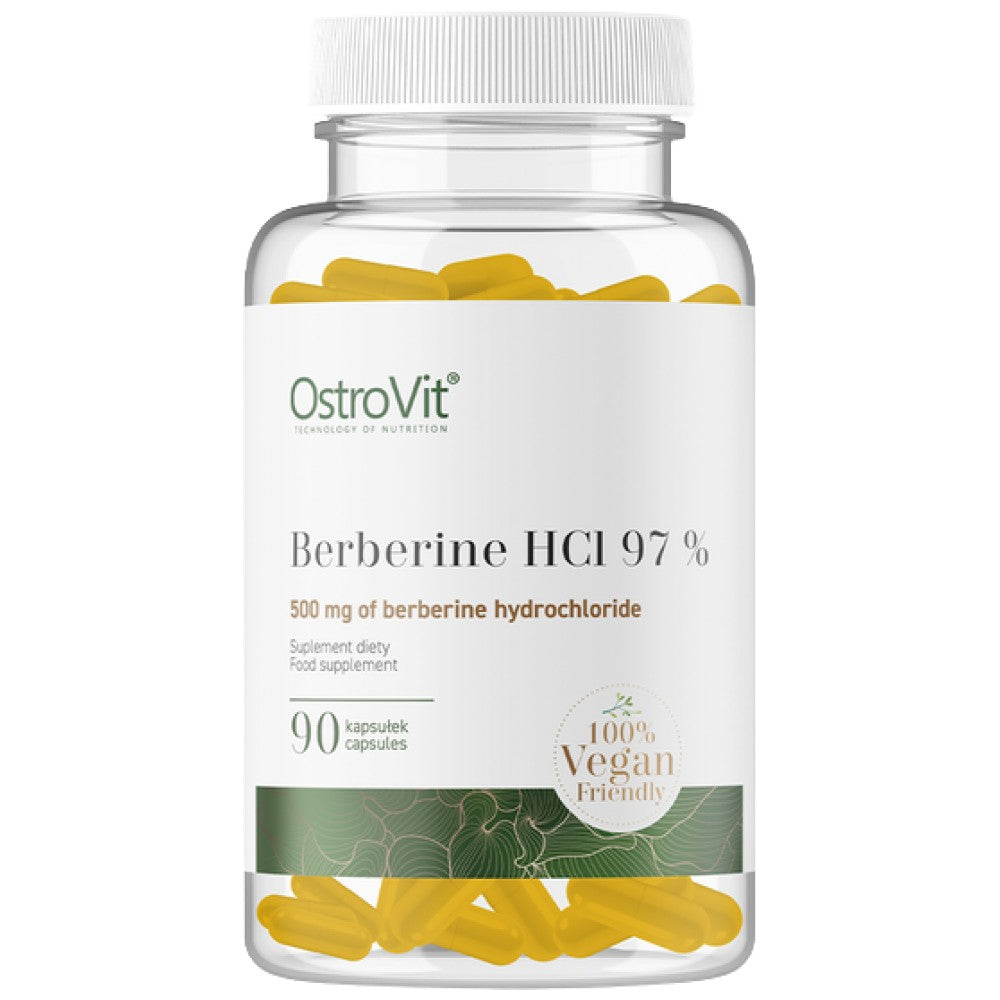 Berberine HCl 500 mg | 97% Berberis Root Extract 90 capsules - Nutra Best Europe