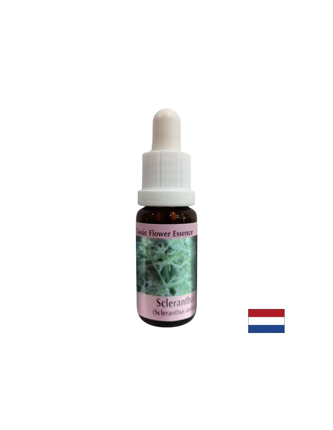 For internal balance - Cartilage Essence No. 28, drops 15 ml - Nutra Best Europe