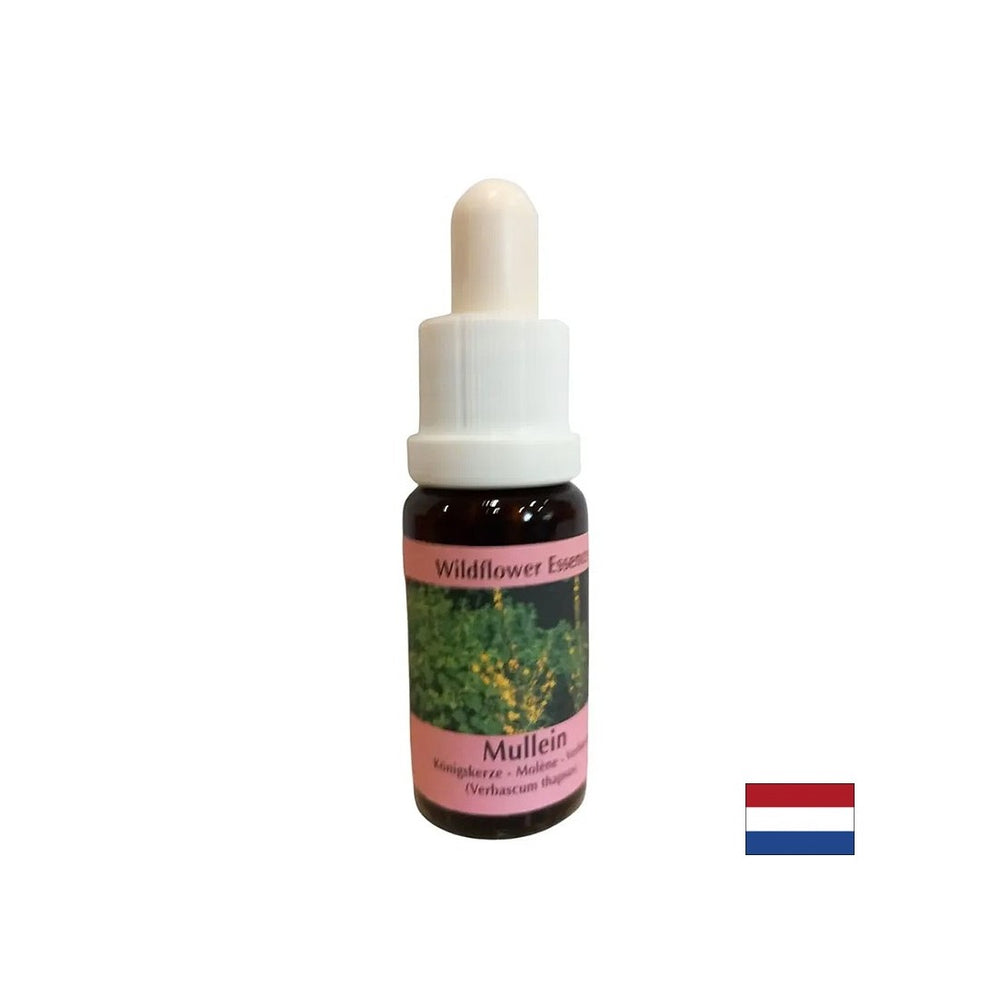 Supports teamwork and creativity - Lopen Essence No. 29, drops 15 ml - Nutra Best Europe