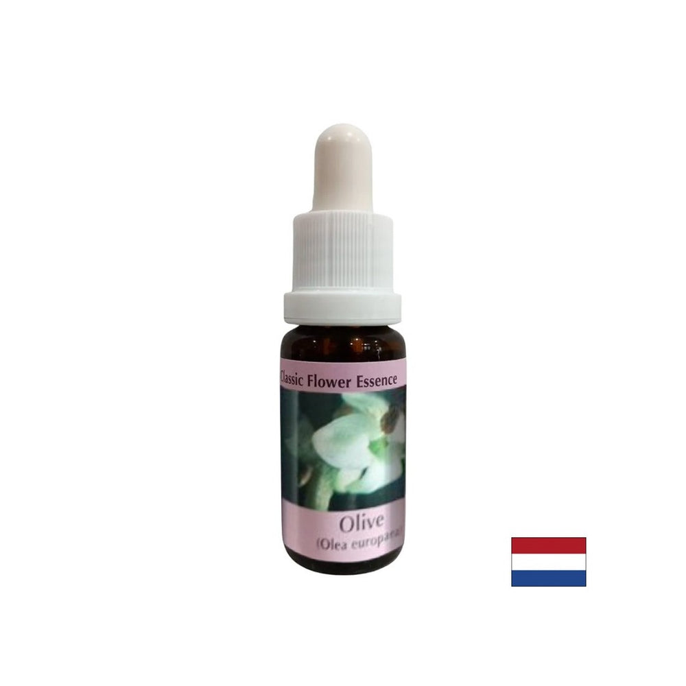 Restores strength - Olive Essence No. 23, drops 15 ml - Nutra Best Europe
