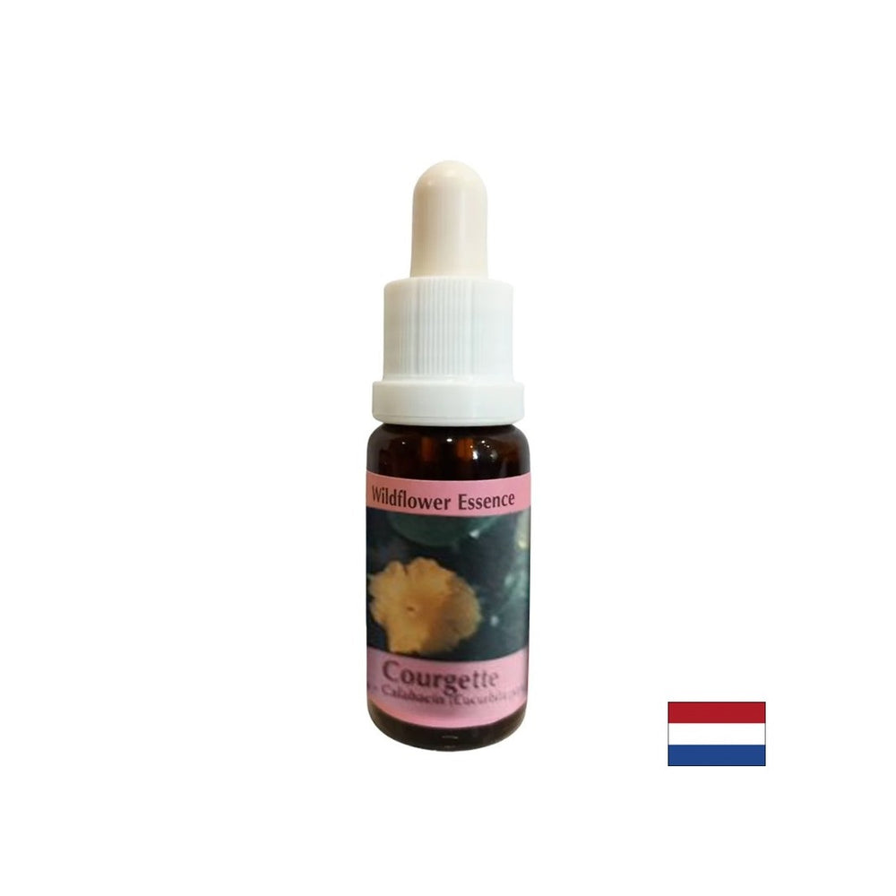 Supports menstruation, pregnancy and sexuality - Pumpkin Essence No. 29, drops 15 ml - Nutra Best Europe