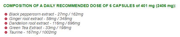 Fat Burner - 60 capsules - Nutra Best Europe