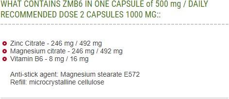 ZMB6 500 mg - 60 capsules - Nutra Best Europe