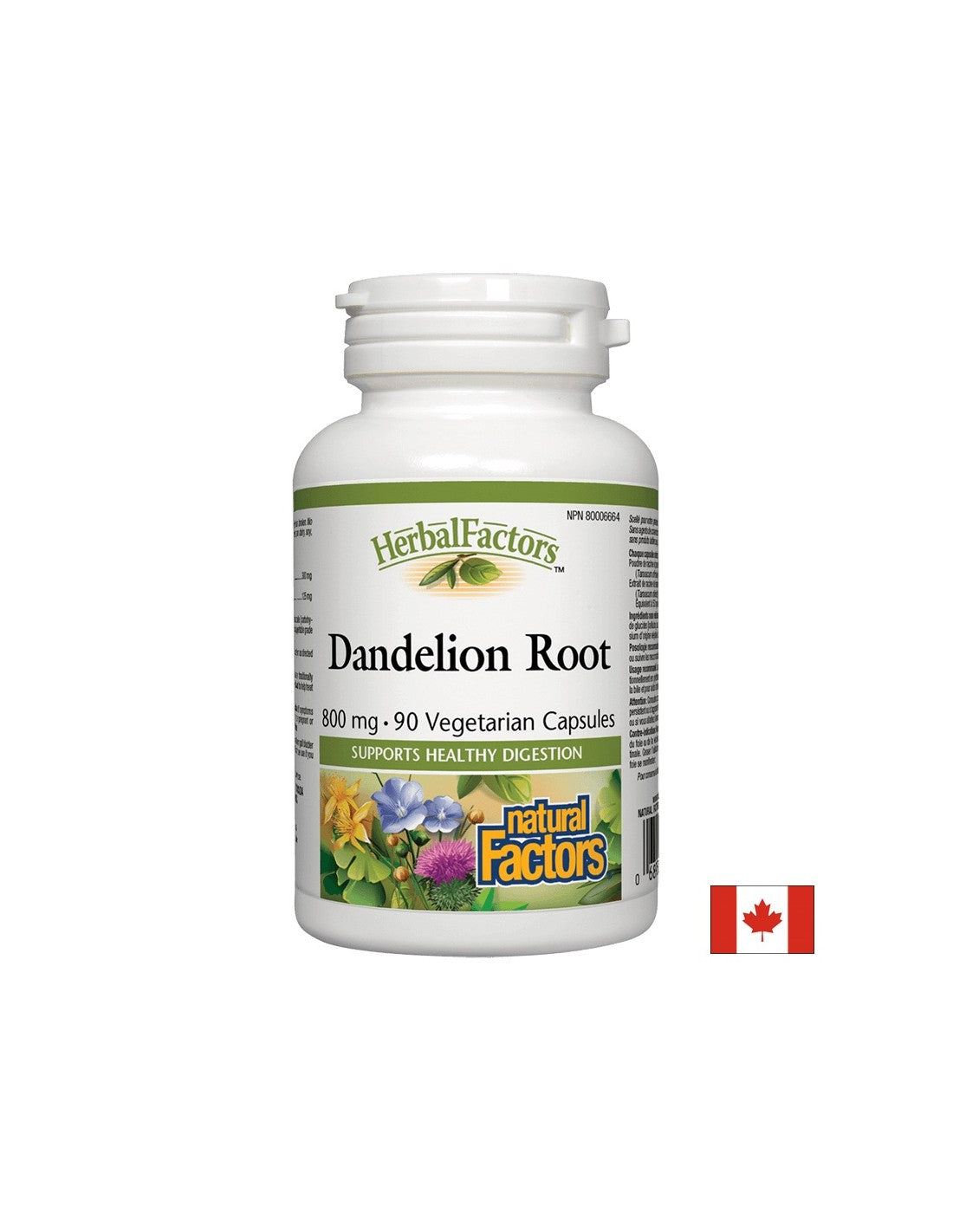 Dandelion Root 425 mg - 90 capsules - Nutra Best Europe