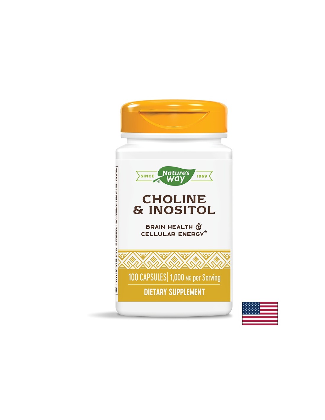 Choline 250 mg & Inositol 250 mg - 100 capsules - Nutra Best Europe