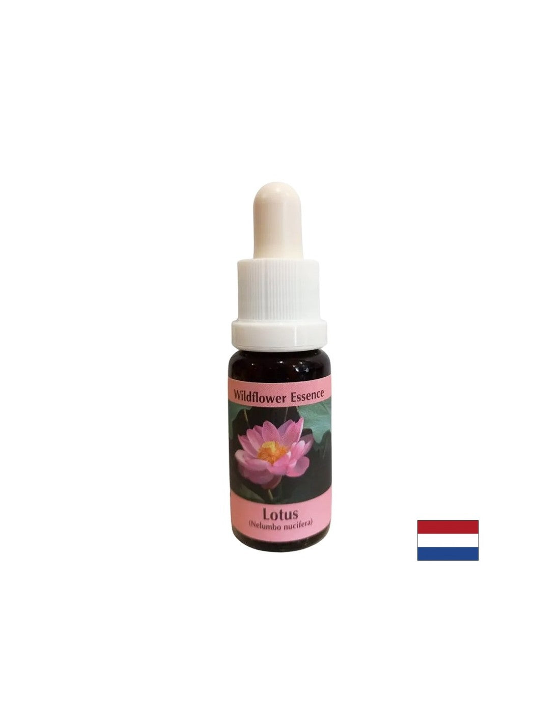 Harmonizes the chakras and opens the mind - Essence Indian Lotus No. 30, drops 15 ml - Nutra Best Europe